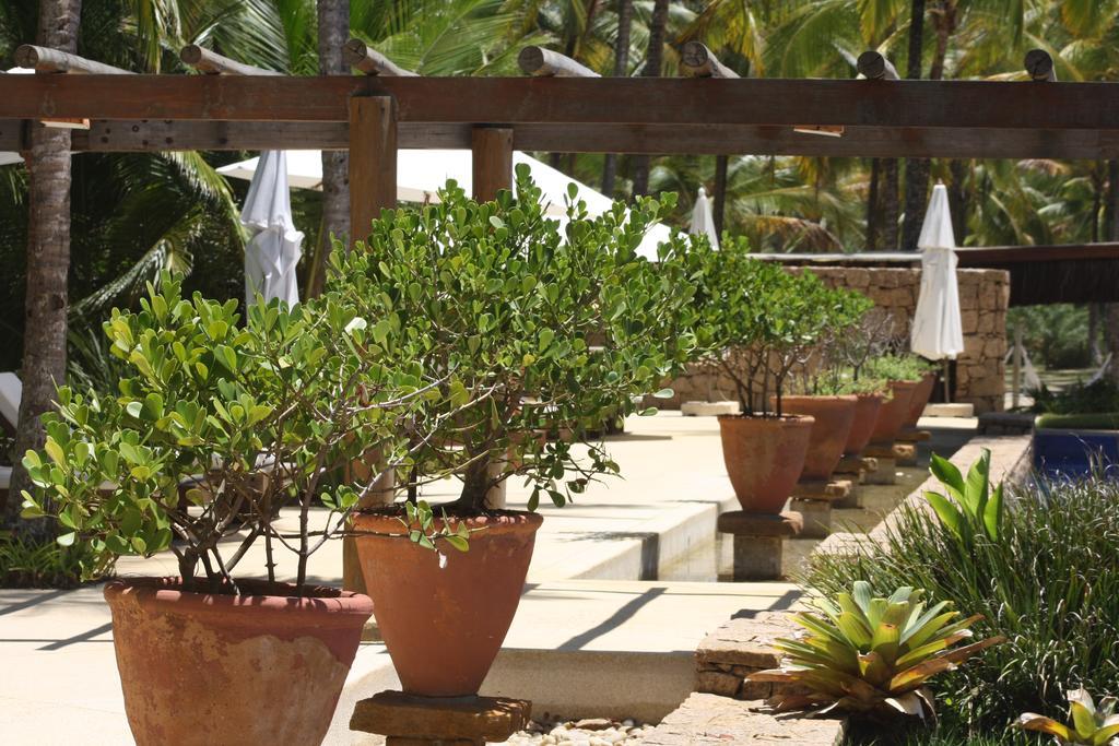 Casa 10 -Txai Resort Itacare Ngoại thất bức ảnh